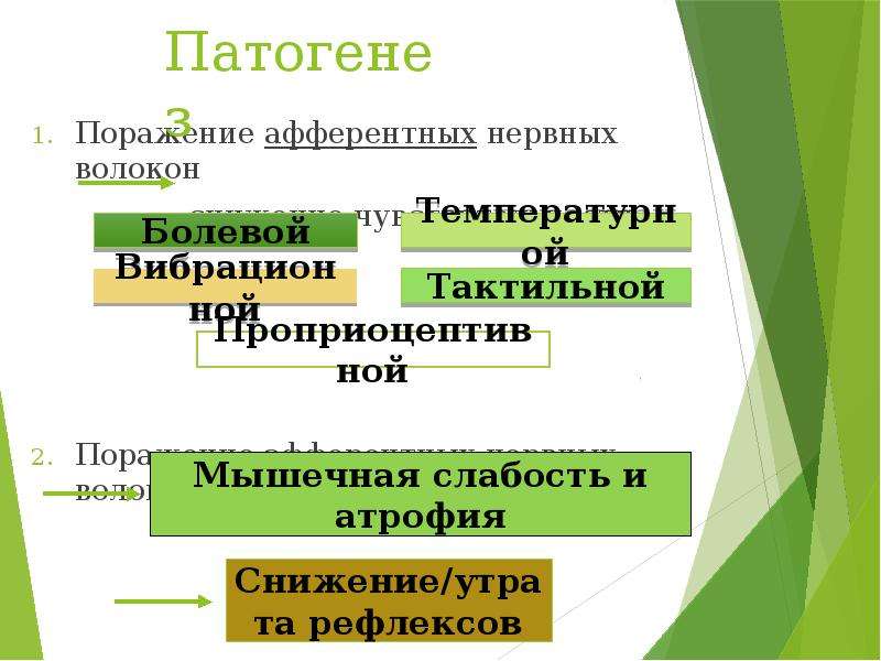 Диабетическая фетопатия презентация