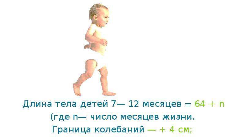 Седьмой месяц. Длина туловища ребенка. Длина ребенка в 7 месяцев. Длина тела у 7 месячного ребенка. Длина тела.