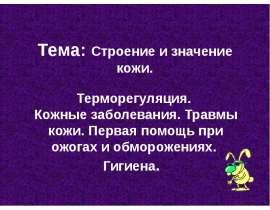 Строение и значение кожи. Терморегуляция. Кожные заболевания. Травмы кожи. Первая помощь при ожогах и обморожениях. Гигиена
