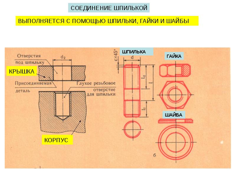 Соединение шпилькой. Шпилечное соединение чертеж с размерами м12. Соединение шпилькой чертеж. Шпилечное соединение чертеж м30. Начертательная геометрия шпилечное соединение.