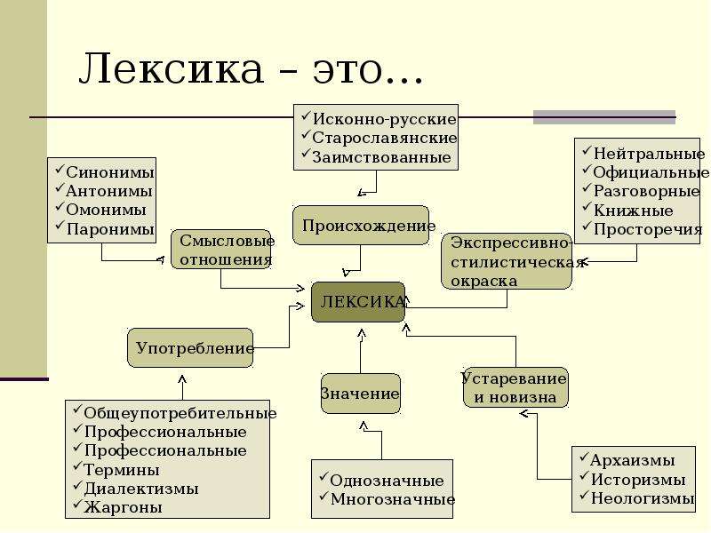 Лексика 5 класс русский язык