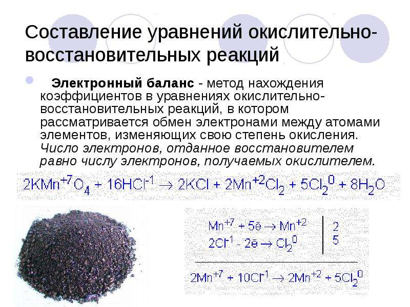 Рассмотрите рисунок 107 учебника объясните почему вначале развивается березовый лес а затем ельник