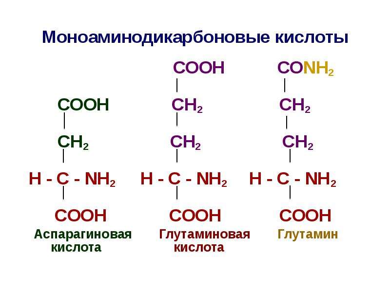 Аспарагиновая кислота формула. Аспарагиновая аминокислота формула. Аспарагин кислота формула. Аспарагиновая кислота строение.