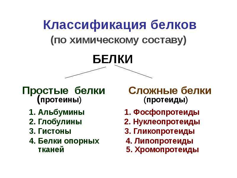 Классификация белков презентация