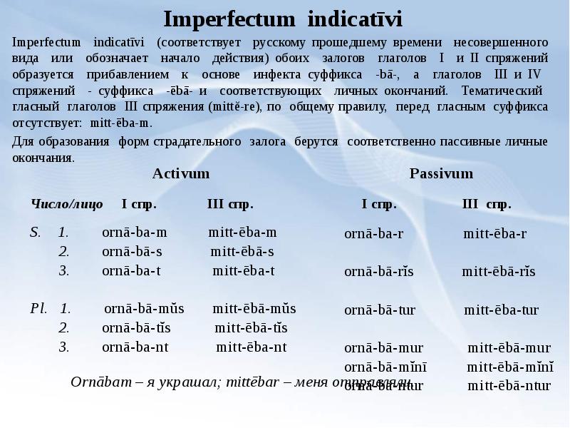 Глаголы в латинском языке