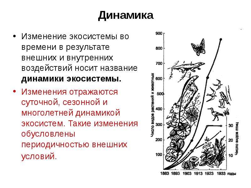 Причины смены биогеоценозов схема