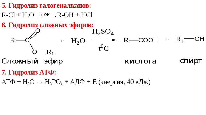 Презентация гидролиз органических веществ