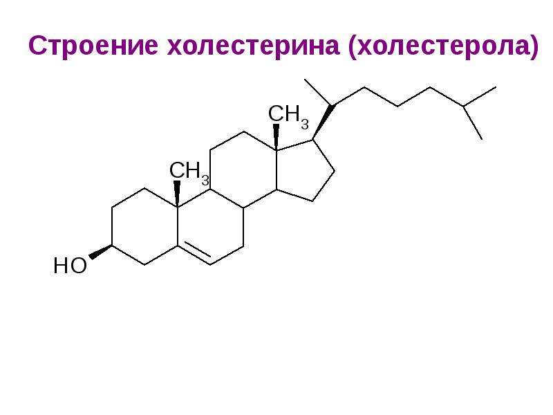 Презентация липиды 10 класс биология профильный уровень