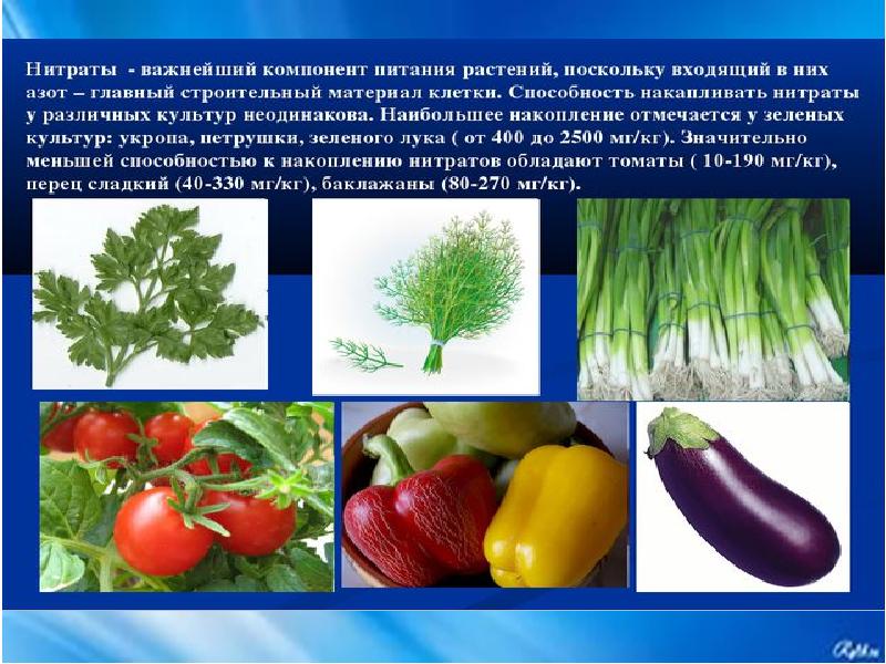 Нитраты в овощной продукции проект