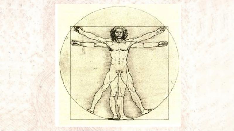 Фигура безупречной гармонии: пропорции Леонардо и их отражение в искусстве