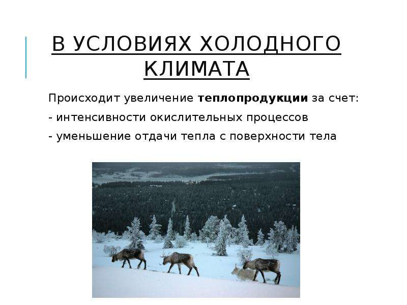 Произошло увеличение. Условия холодного климата. В условиях холодного климата происходит. Требования к одежде в условиях холодного климата. Холодные климатические условия.