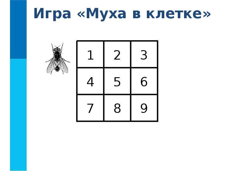 Игра муха на внимание