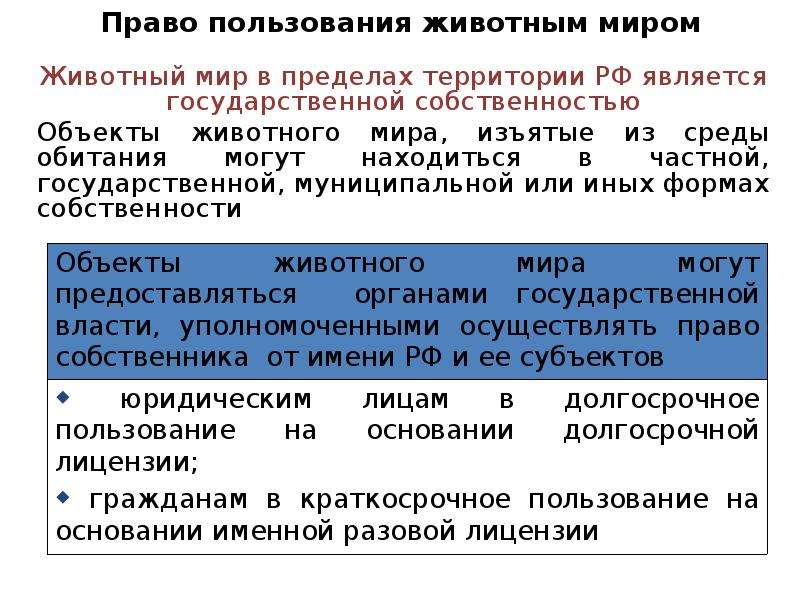 Осуществлением в пределах территории на. Пользование животным миром объект. Право пользования животным миром содержание.