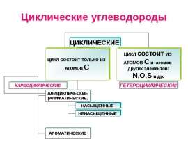 Циклические углеводороды