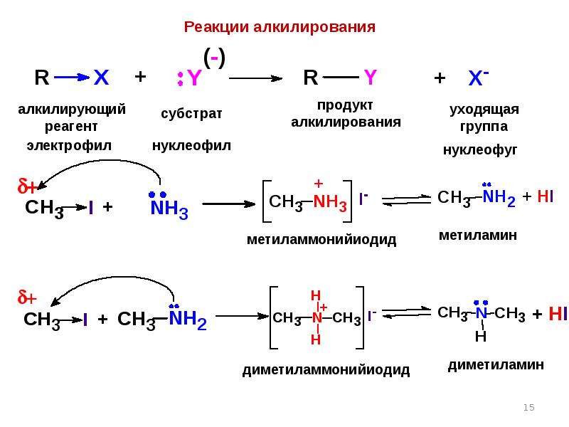 Х реакций. N-алкилирование механизм реакции. Галогеналканы – алкилирующие реагенты. Наиболее активный алкилирующий реагент. Ch3sna алкилирующий реагент.