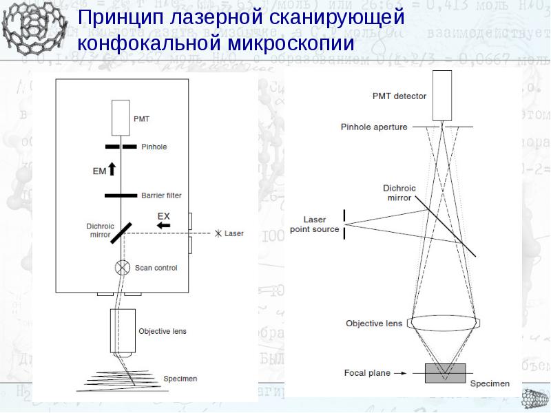 Принцип работы оптического микроскопа описание и схема - 88 фото