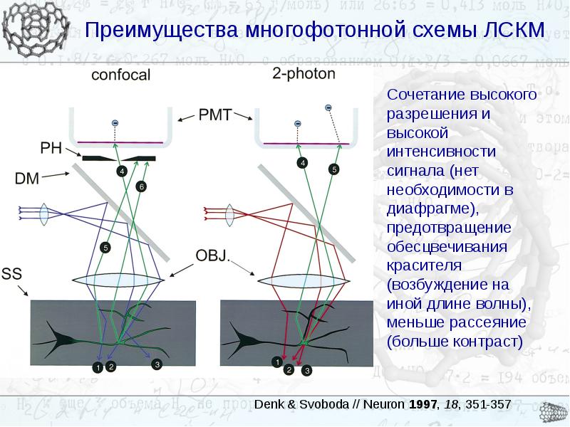 Оптическая микроскопия. Двухфотонная конфокальная микроскопия. Конфокальная лазерная сканирующая микроскопия. Многофотонная микроскопия. Оптическая схема конфокального микроскопа.