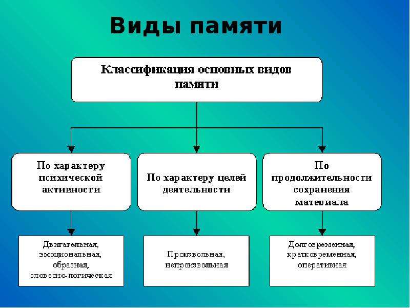 Виды памяти и их характеристика презентация