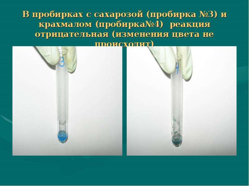 Капрон продукты разложения на стенках пробирки образуют желтое кольцо