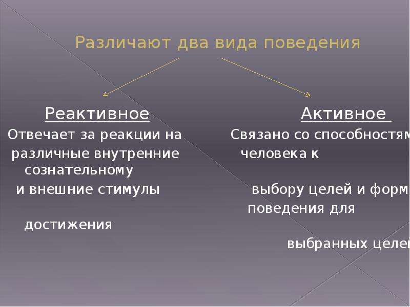 Поведение человека презентация