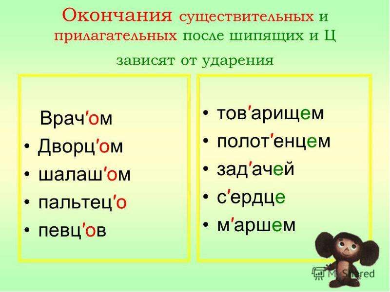 Правописание существительных 5 класс презентация