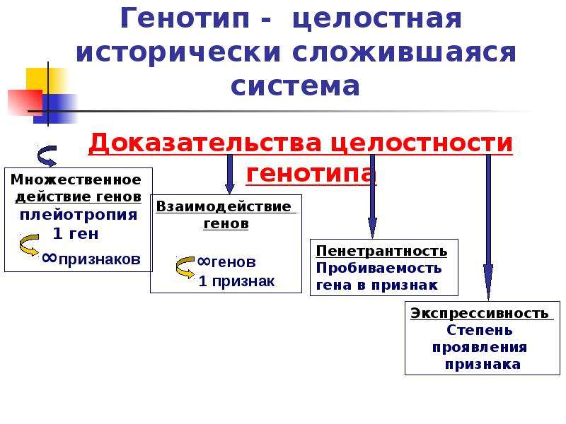 Генотип и здоровье человека презентация 9 класс пасечник