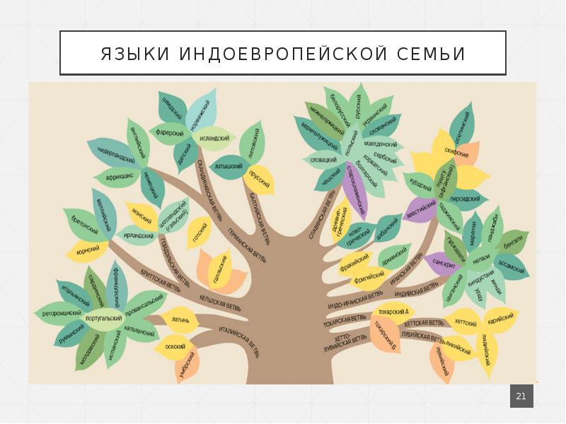 Индоевропейские языки. Дерево индоевропейской семьи языков. Индоевропейская языковая семья Древо. Индоевропейская языковая семья генеалогическое Древо. Генеалогическое языковое Древо индоевропейской семьи.