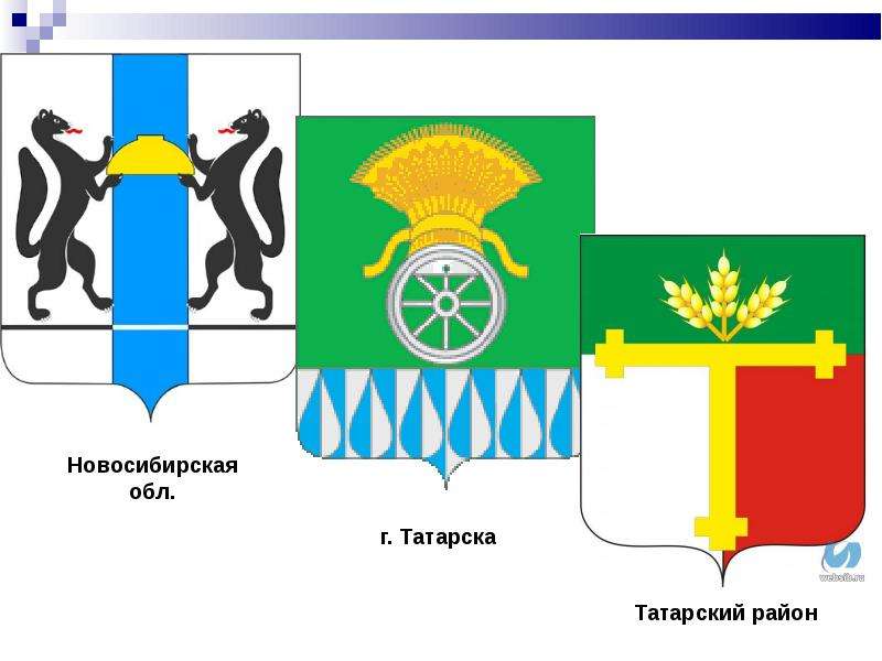 Герб нсо картинка