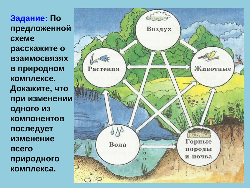 Заполните схему указав взаимосвязи состав географической оболочки