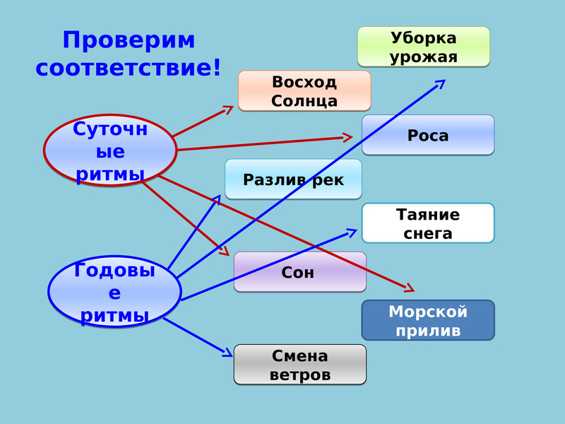 Закономерности географической оболочки презентация