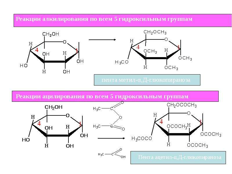 Реакции на гидроксильную группу. Алкилирование олигосахаридов. Алкилирование сахаридов. Алкилирование Глюкозы уравнение реакции. Реакция ацилирования углеводов.