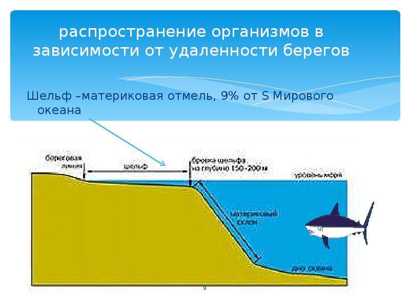 Материковая отмель карта