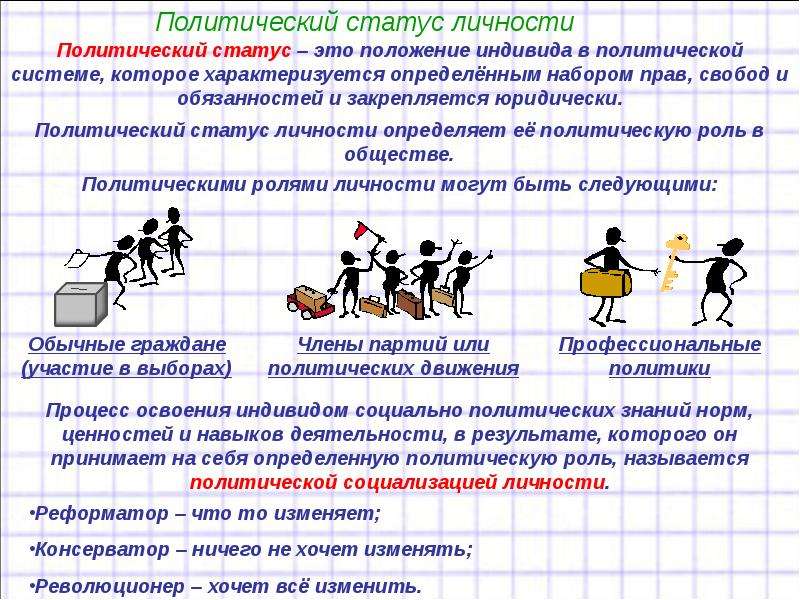 Политика проект по обществу