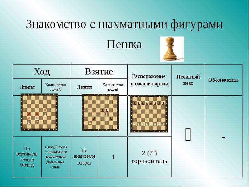 Знакомство С Шахматной Фигурой Конь Презентация