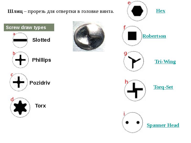 Шлиц. Шлиц головки винта tri Wing. Шлиц Torq-Set. Шлиц типа Torq - Set. Отвертка под шлиц tri-Wing.