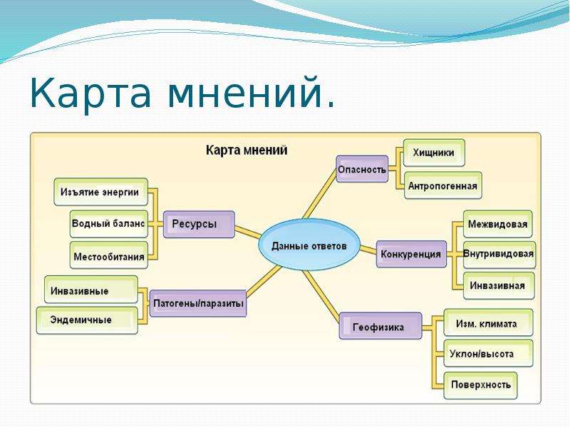 Альтернативные варианты проекта