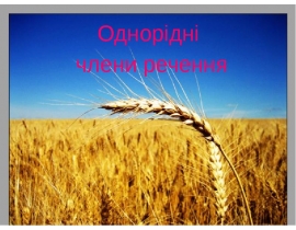 Однорідні члени речення
