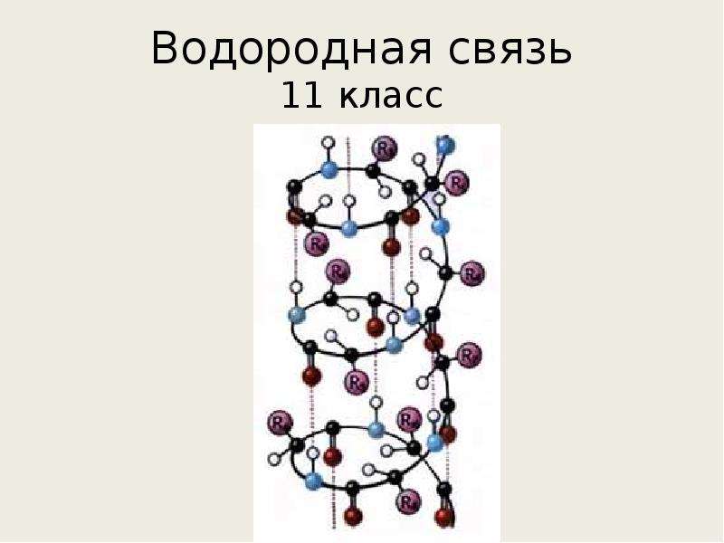 Водородная связь презентация 11 класс