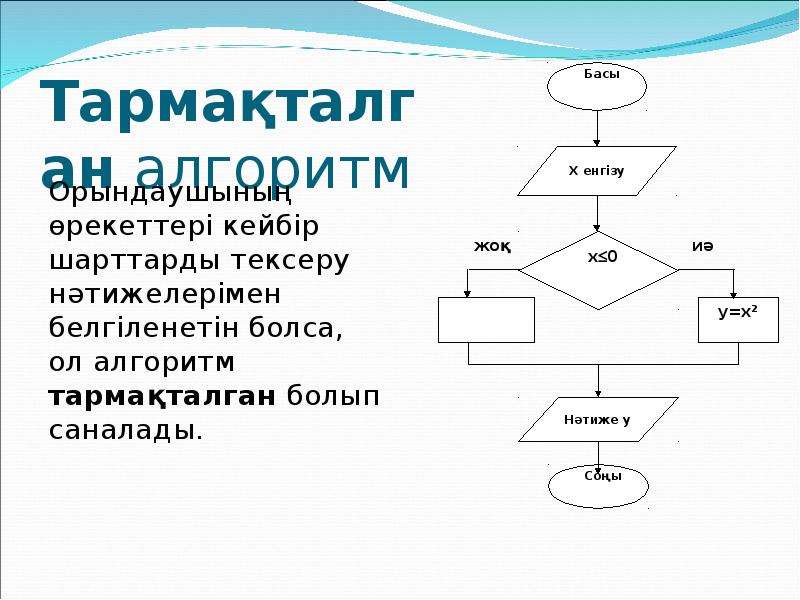 Шарттарды программалау 9 сынып презентация