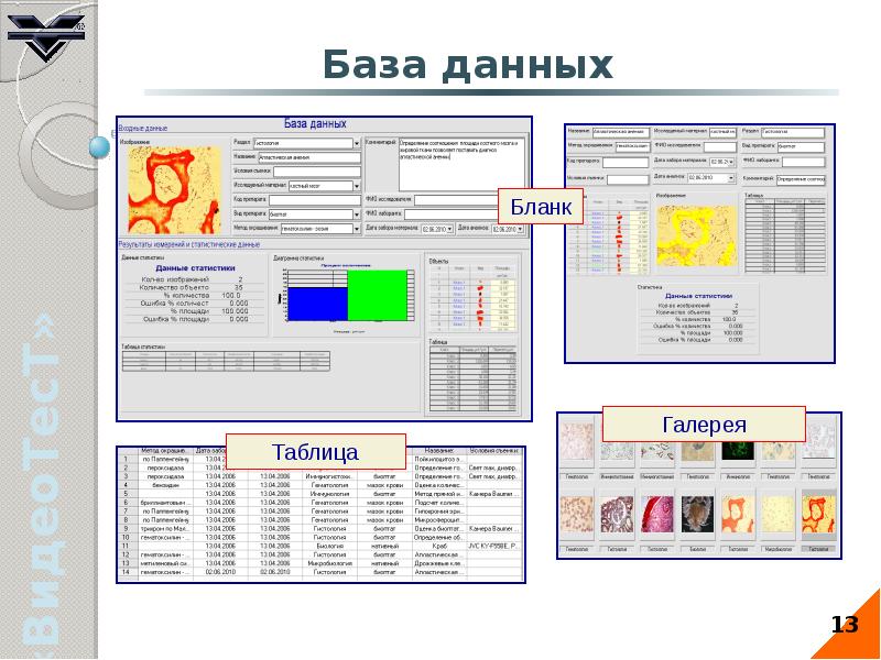 Система анализа изображений