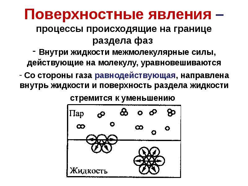 Фаза жидкости. Поверхностные явления на границе раздела фаз.. Процессы на границе раздела фаз. Поверхность раздела фаз. Поверхностные явления и адсорбция.