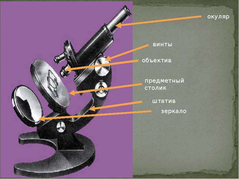 Класс увеличительные приборы. Лупа и микроскоп увеличительные приборы. Увеличительные приборы в современном мире. Увеличительные приборы ученых. Оптические приборы в биологии.