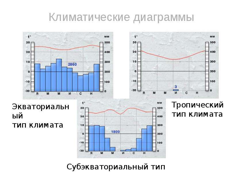 Климатическая диаграмма тропического засушливого типа климата северного полушария