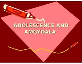 Adolescence and amgydala