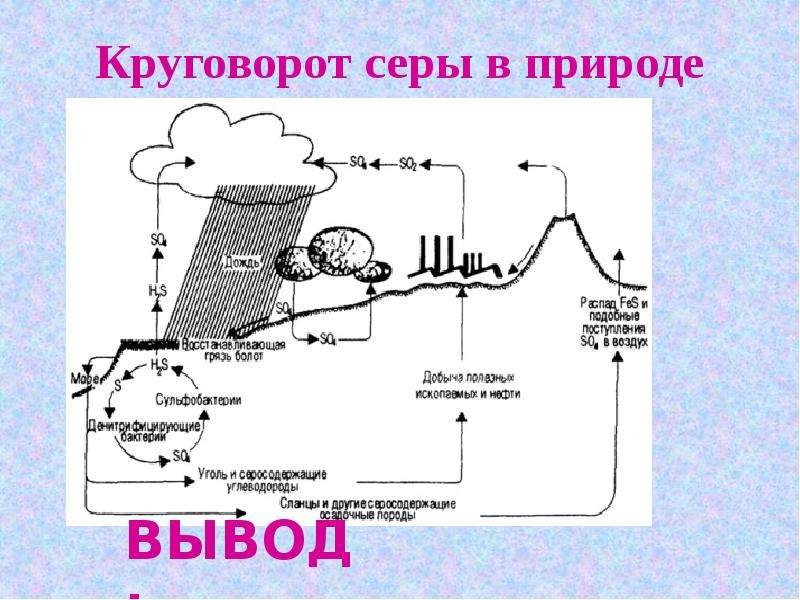 Круговорот железа схема