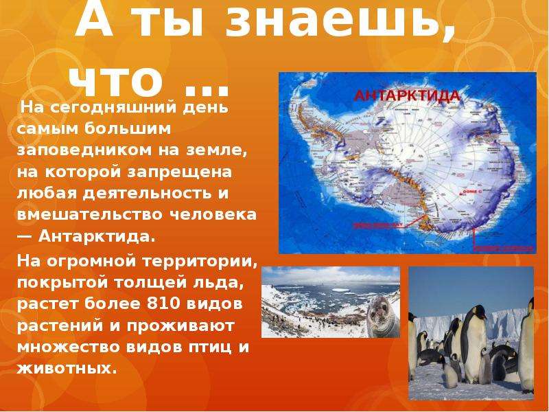 Деятельность антарктиды. Деятельность человека в Антарктиде. Хозяйственная деятельность человека в Антарктиде. Деятельность жителей в Антарктике. Народы Антарктиды.