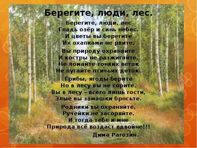 Поэзия о лесе. Стих берегите лес. Стихотворение берегите люди лес. Стих на тему берегите лес. Берегите и охраняйте лес.