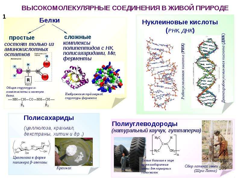 Полимеры и их применение презентация