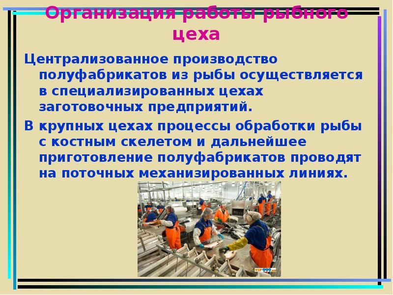 Централизованное производство. Организация работы рыбного цеха. Централизованное производство полуфабрикатов. Централизованное производство это. Централизованное производство рыбных полуфабрикатов.