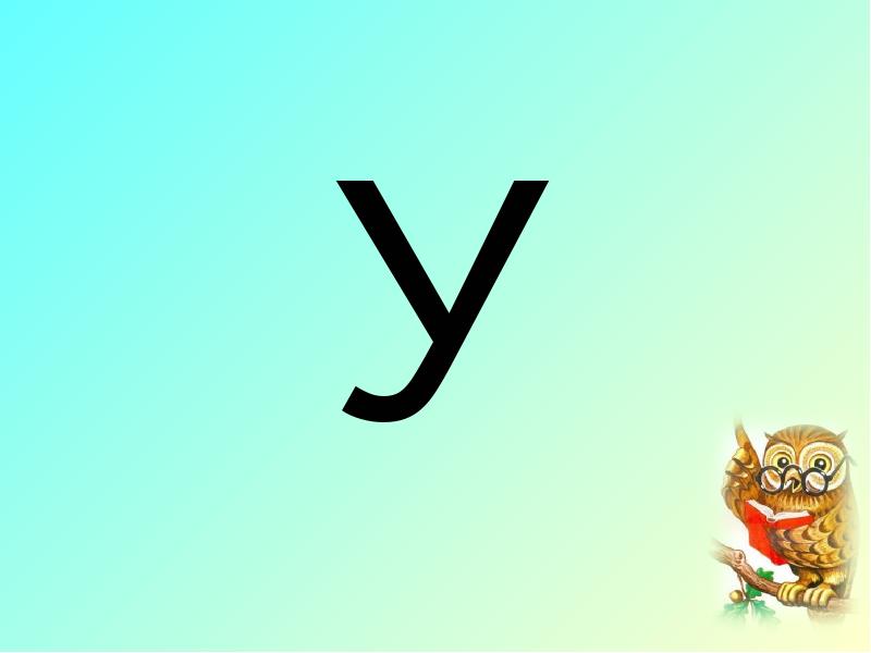 Y 11